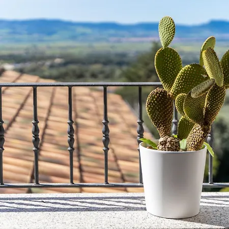The Balcony *