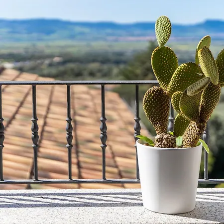 The Balcony *